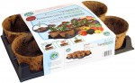 Coconut-Coir-6-Pot-Transplant-Kit