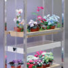 Compact Lite Cart G22A (Aluminum) - Image 3