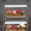 Compact Lite Cart G22B (Brown)