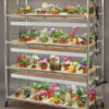 Seedling Cart GA4P4 (Aluminum)