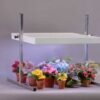 Table Top Fixture 30 Inch 4 Lamp TT420WS